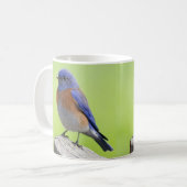 Mannelijke Westerne Bluebird Mok (Voorkant links)