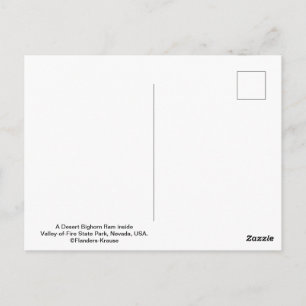 Mannelijke Woestijn Bighorn Schaap - III Briefkaart