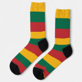 Mannen bemanningslid sokken met de vlag van Litouw (Links)