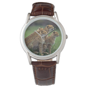 Mannen Classic Watch/Wildlife Cheetah's Horloge
