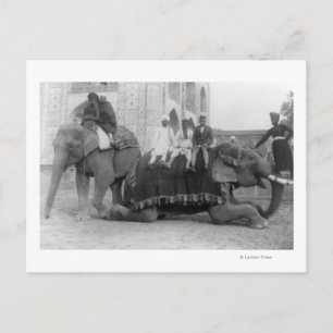 Mannen die olifanten in India fotograferenIndia Briefkaart