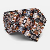 Mannen kleurrijke katten Zijde Foulard Stropdas (Opgerold)