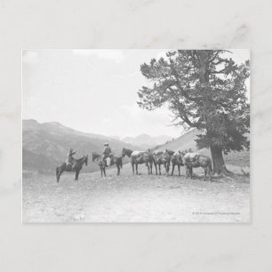Mannen met pakpaarden die over een heuvel heen kij briefkaart