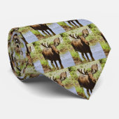 Mannen Moose Stropdas (Opgerold)