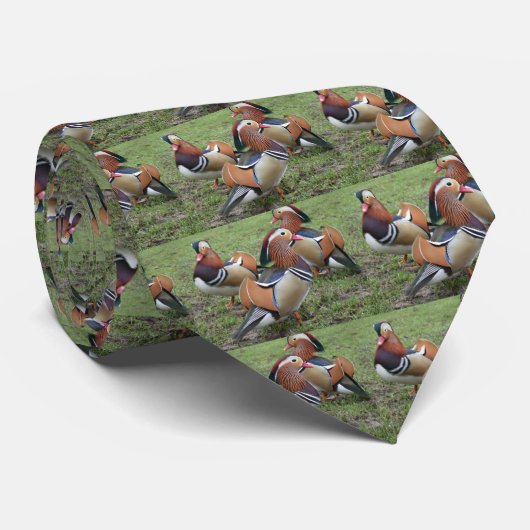 Mannen Stropdas met Mandarijns Duck Design (Opgerold)