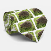 Mannen van Egel Necktie Stropdas (Opgerold)