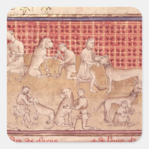 Mannen voor jachthonden vierkante sticker