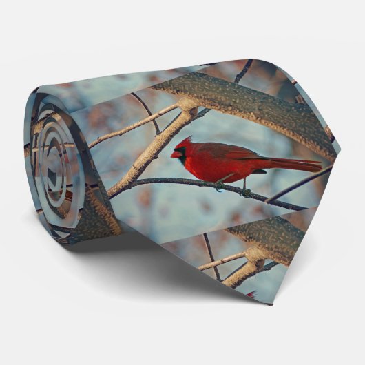  mannenkardinaal stropdas (Opgerold)