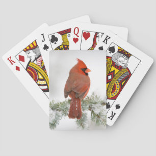 Mannetje kardinaal op Blauwe Atlasceder Pokerkaarten