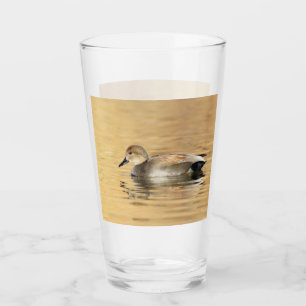 Mannetje krakeend glas