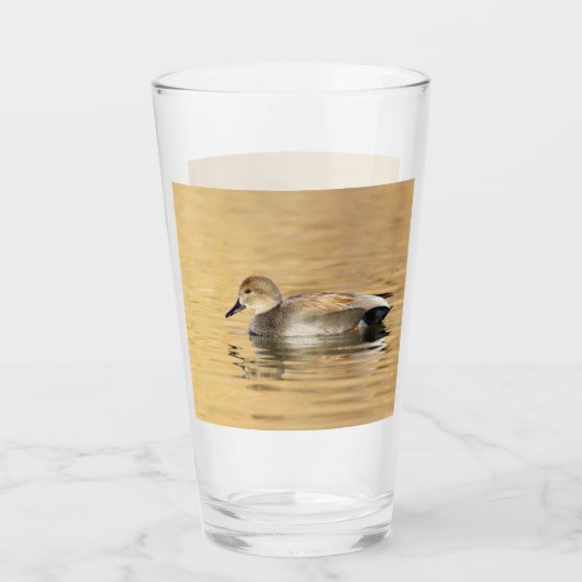 Mannetje krakeend glas (Voorkant)