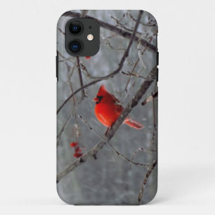 Mannetjes kardinaal iPhone 5 hoes