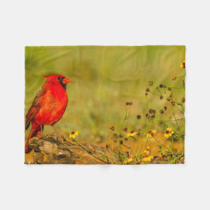 Mannetjes kardinaal op stam fleece deken