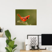 Mannetjes kardinaal op tak poster (Thuiskantoor)