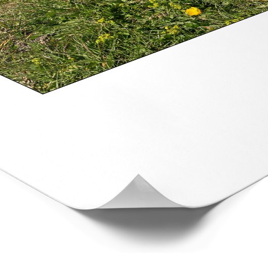 Männlichen, Zwitserland - Wall Print (Hoek)