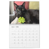 Manny Halloween Cat 2026 Calendar Kalender (Mar 2026)