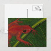 Manny The Mantella (Kikker) Briefkaart (Voorkant / Achterkant)