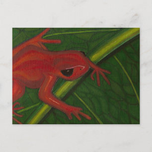 Manny The Mantella (Kikker) Briefkaart