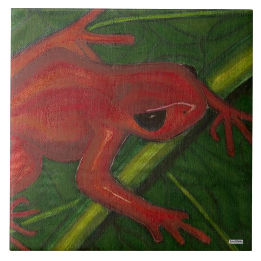 Manny The Mantella (Kikker) Tegeltje (Voorkant)