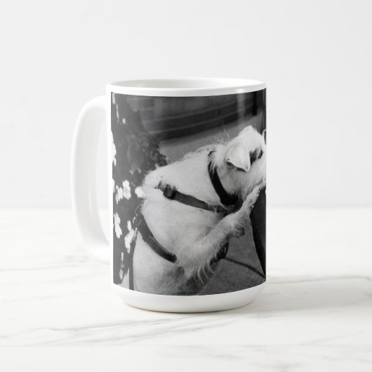 Manny's Mug (Devant gauche)