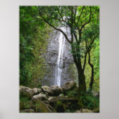 Manoa Herfsten, O'ahu, Hawai'i Poster (Voorkant)