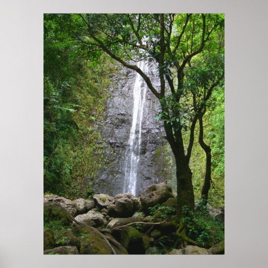 Manoa Herfsten, O'ahu, Hawai'i Poster (Voorkant)