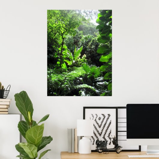 Mānoa stream bed poster (Thuiskantoor)