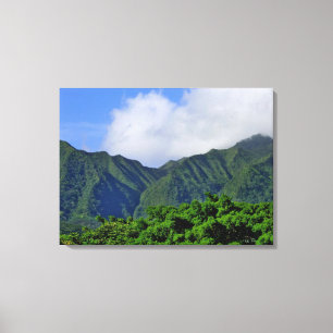 Manoa Valley Canvas Afdruk