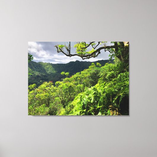 Manoa Valley, O'ahu, Hawai'i Canvas Afdruk (Voorkant)