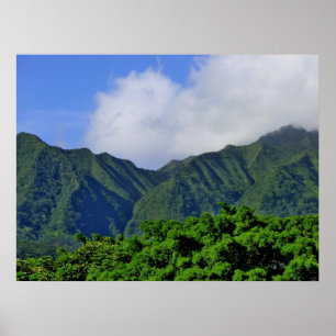 Manoa Valley Poster