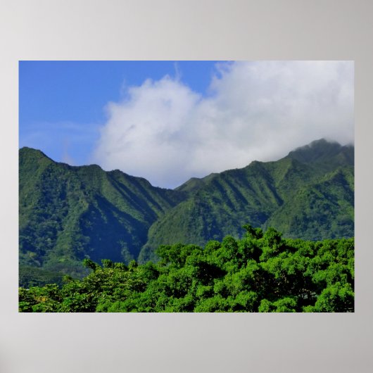 Manoa Valley Poster (Voorkant)