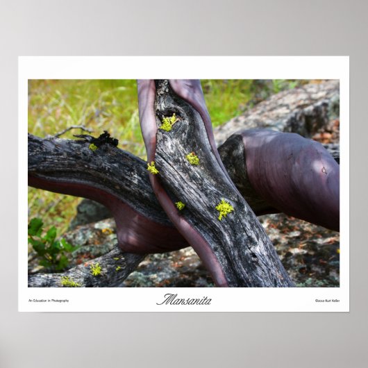 Mansanita Prints (Voorkant)