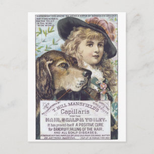 Mansfields Capallaris Briefkaart