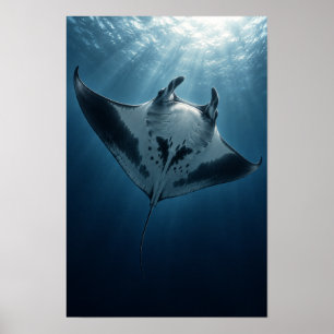 Manta Ray Glijdt Onder Zee Zonlicht Mariene Wa Poster