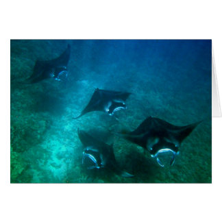 Manta-ray-kaart