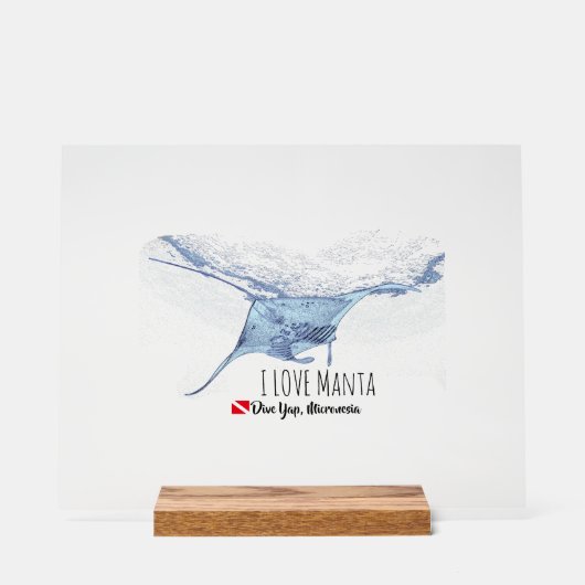 Manta Ray Silhouette (Recto)