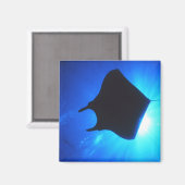 Manta Ray Silhouette Magneet (Voorkant / Achterkant)