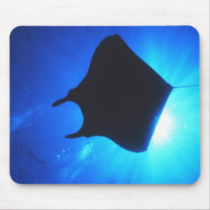 Manta Ray Silhouette Muismat