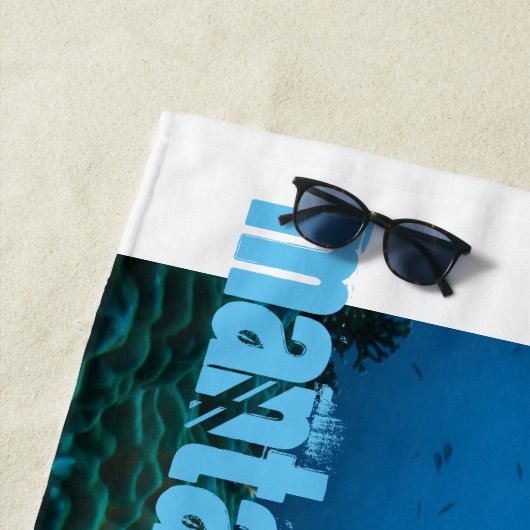 Manta ray strandlaken (In situ)