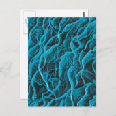 Manta Rays Ocean Fish Animals Waves Blue Black Art Briefkaart (Voorkant / Achterkant)