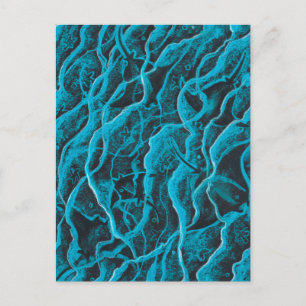 Manta Rays Ocean Fish Animals Waves Blue Black Art Briefkaart