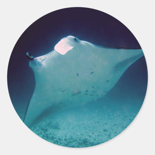 Manta Ronde Sticker (Voorkant)
