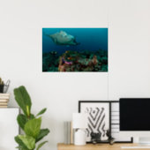 Mantarays over anemon - Poster (Home Office)