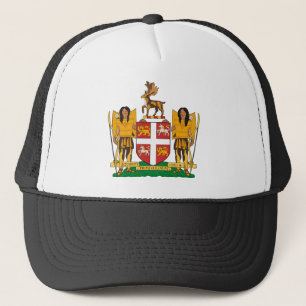 Manteau de Terre-Neuve de casquette de bras