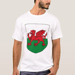 Manteau du Pays de Galles de T-shirt de bras