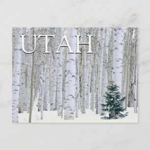 Manti-LaSal National Forest, Utah Gefeliciteerd Briefkaart