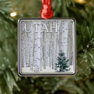 Manti-LaSal National Forest, Utah Metalen Ornament