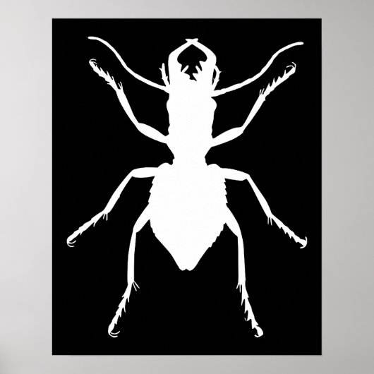 Manticora tuberculata poster (Voorkant)