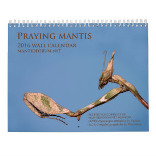 Mantidforum.net 2016 Praying Mantis Wall Calendar Kalender