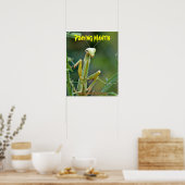 Mantis 475 Affiche (Cuisine)